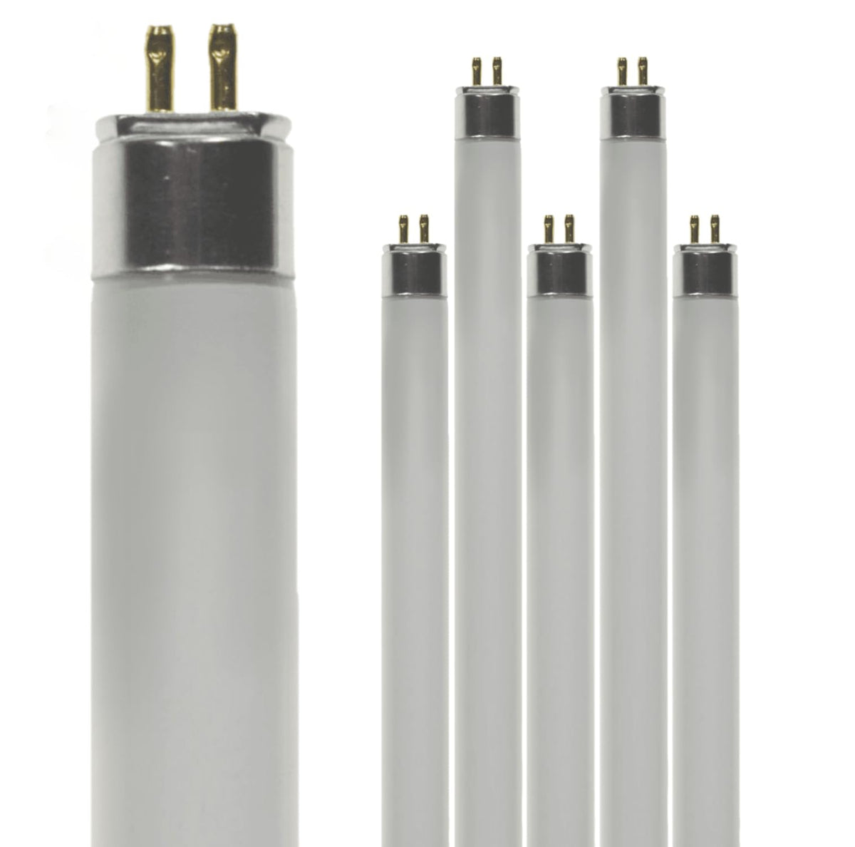 24 Inch 24W 4100K Cool White T5 Fluorescent Bulb Pack of 6 A8671