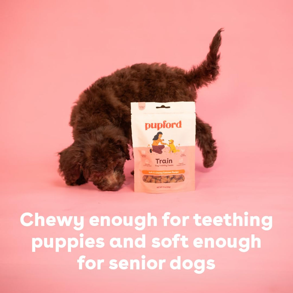 Soft & Chewy Training Treats for Dogs & Puppies Chicken 5 oz W98413