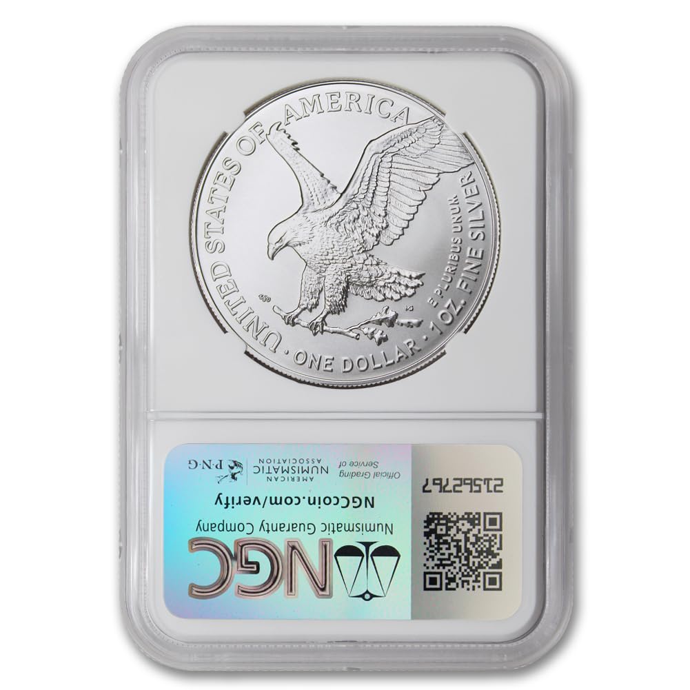 1 oz American Silver Eagle Coin I153