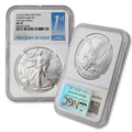 1 oz American Silver Eagle Coin I153
