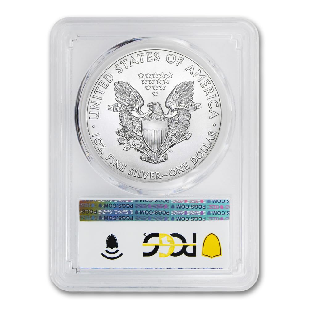 1 oz American Silver Eagle Coin MS-70 M1293