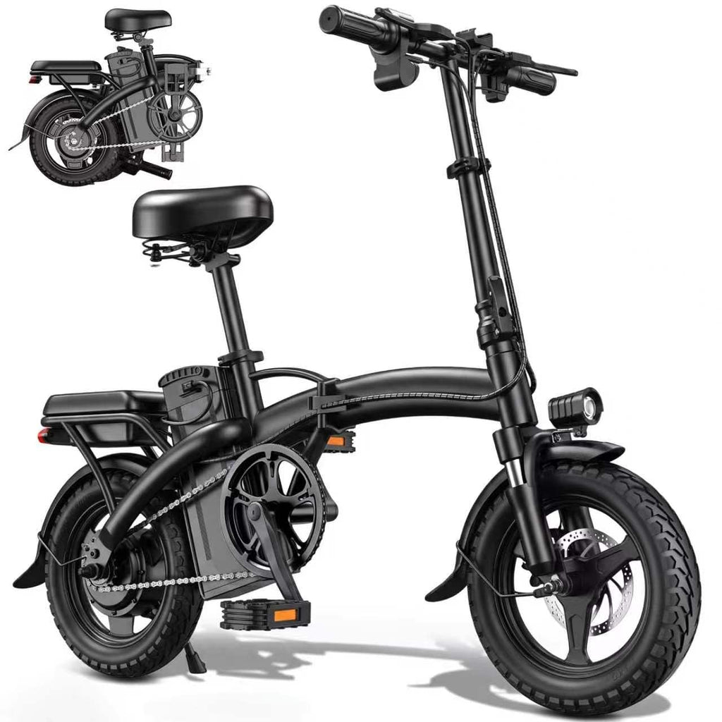 Folding Electric Bike T8010