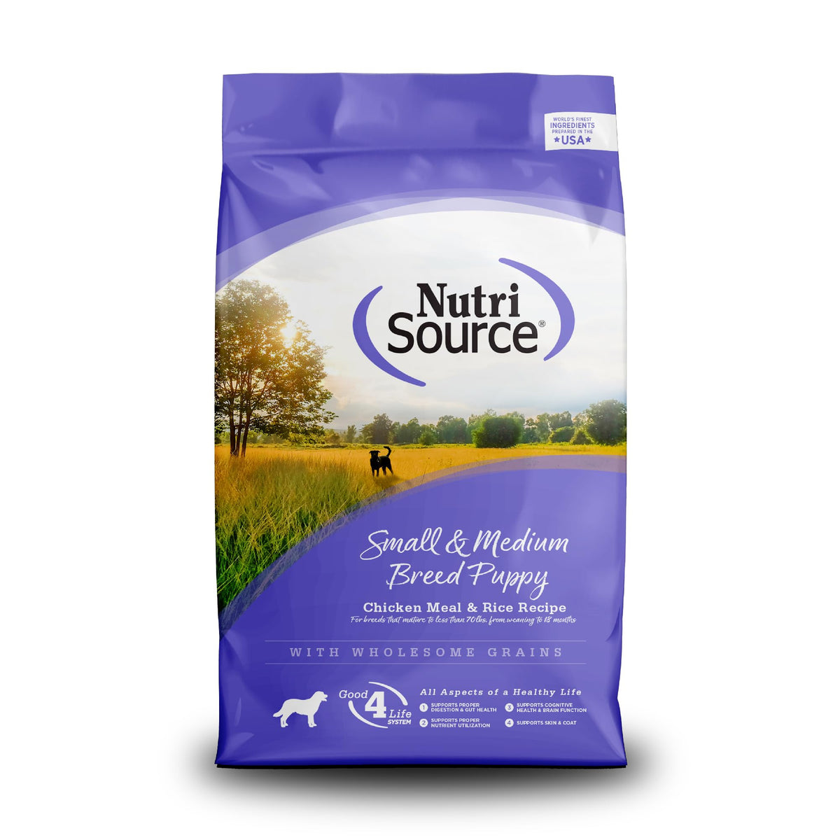 Small & Medium Breed Puppy Dry Dog Food, 4 lb Z507110