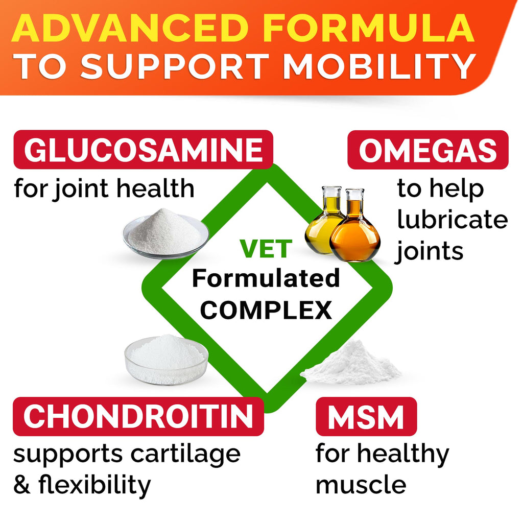 Glucosamine Chondroitin Joint Support H8488