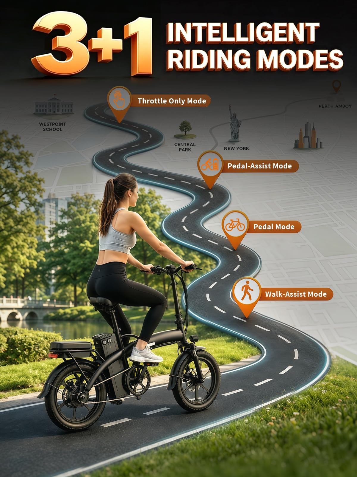 Folding Electric Bike T8010