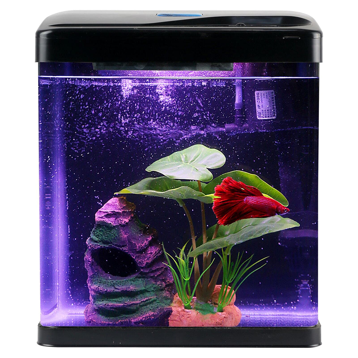 2 Gallon Self Cleaning Glass Betta Fish Tank with LED Light Q87144