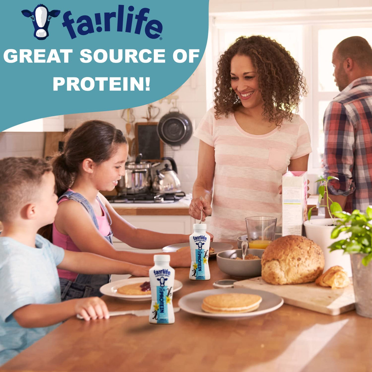 Vanilla Protein Shakes Pack of 12 Z251