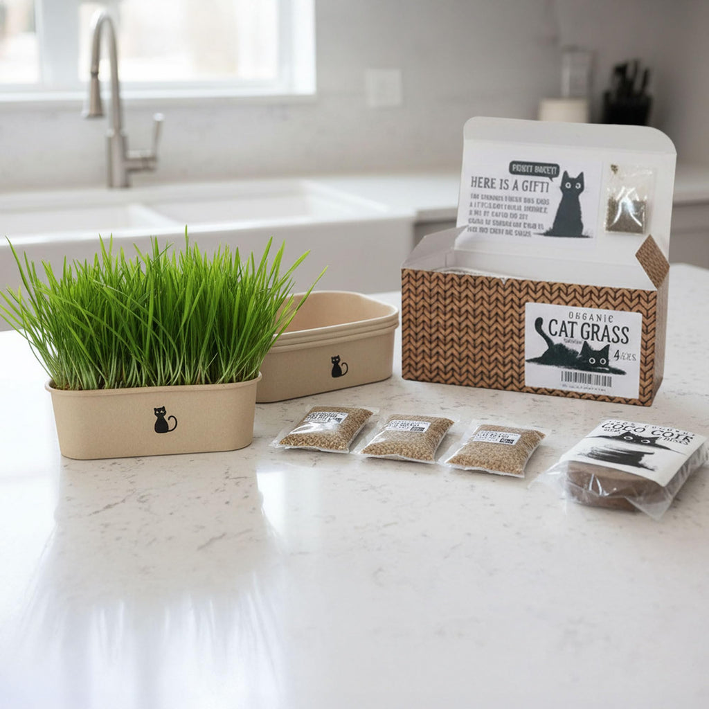4-Batch Indoor Cat Grass Grow Kit with Containers, Soil Disks & Seeds L19864