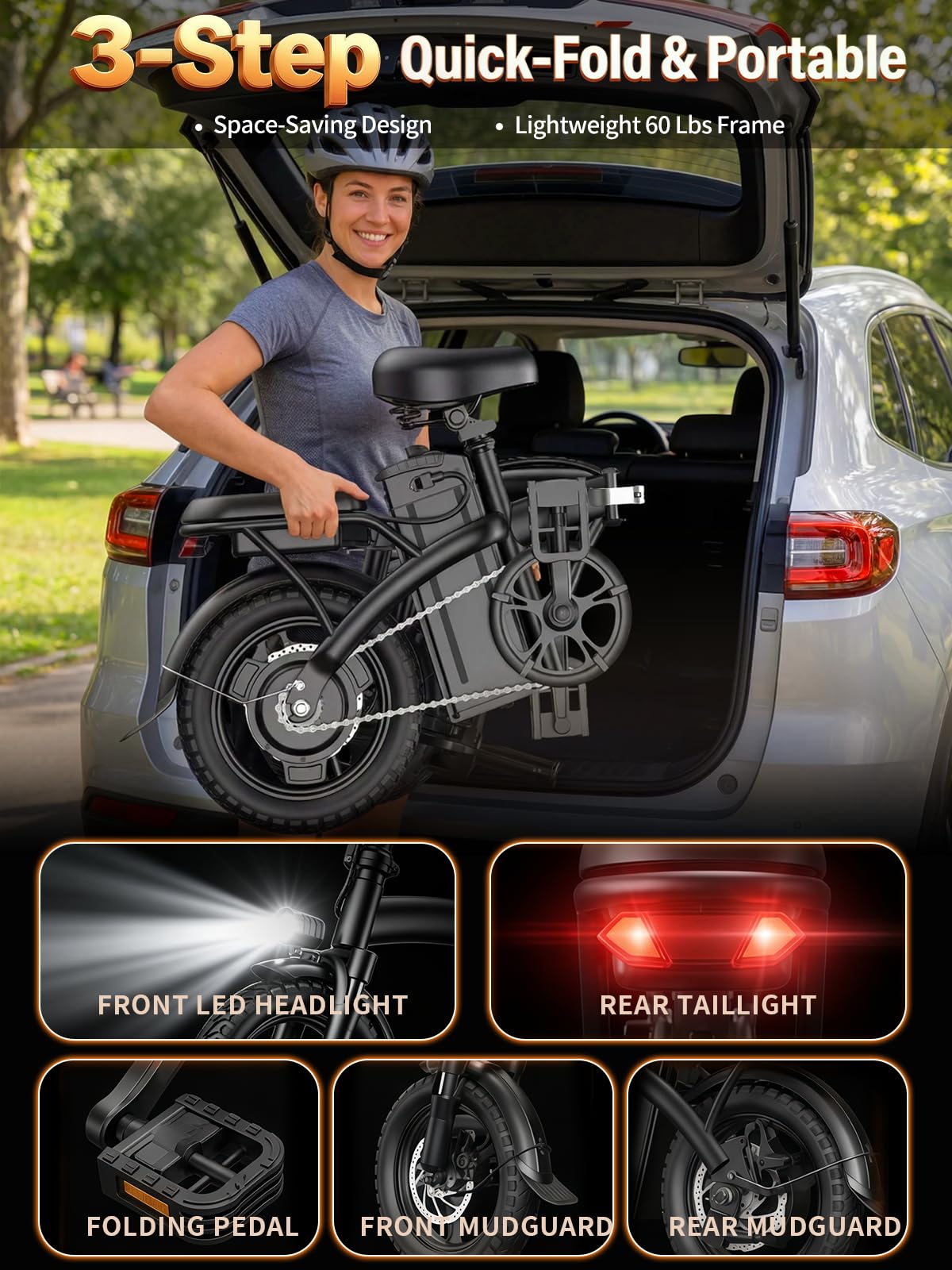 Folding Electric Bike T8010