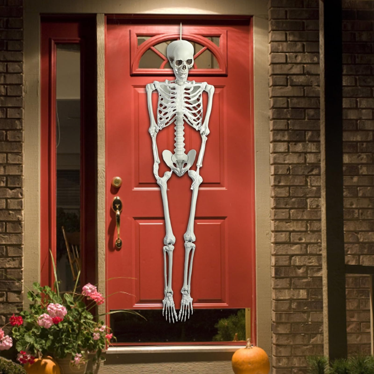 5.4FT Life Size Poseable Human Skeleton Prop Q56554