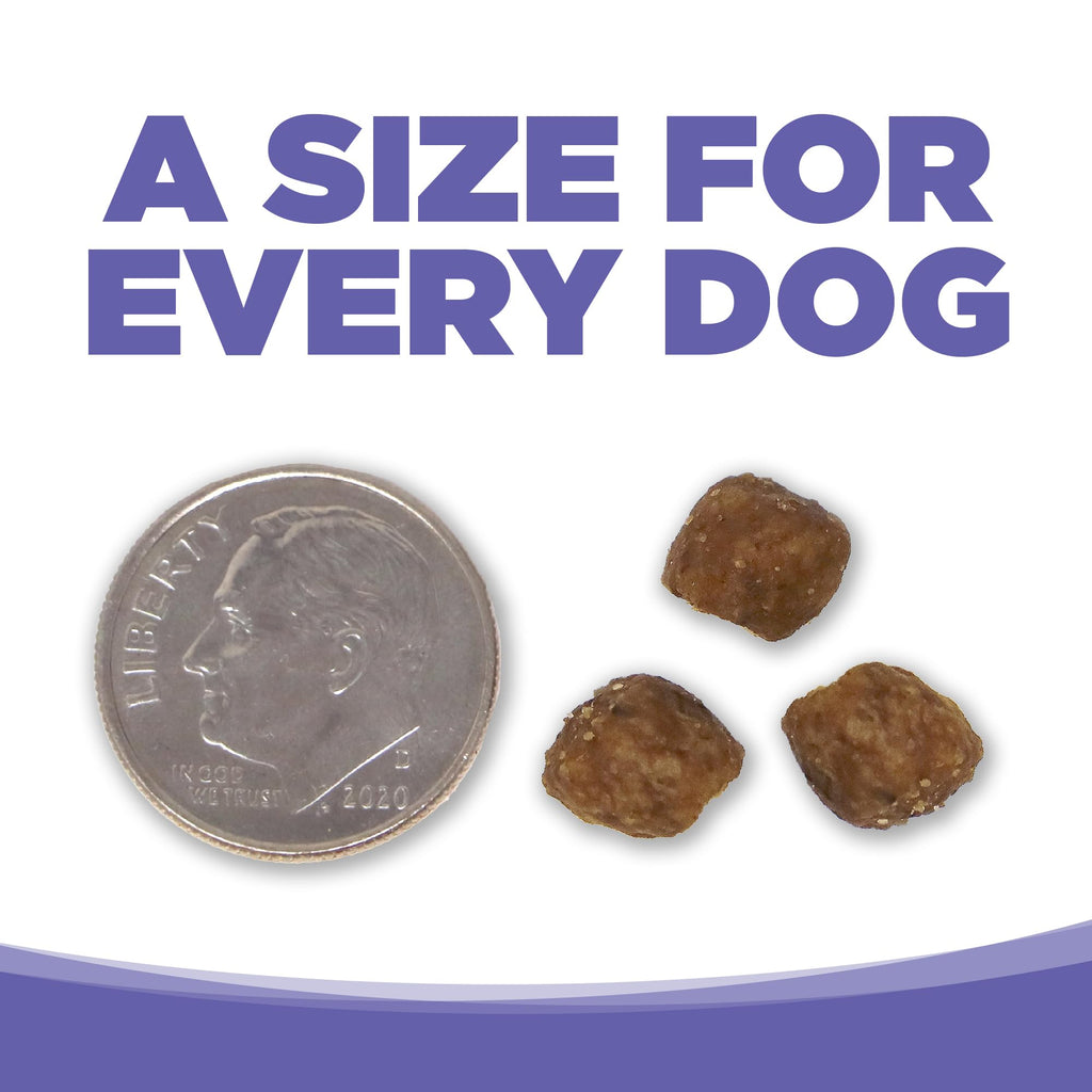 Small & Medium Breed Puppy Dry Dog Food, 4 lb Z507110