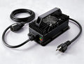 67.2V 10A Waterproof IP65 Lithium Battery Charger V87381