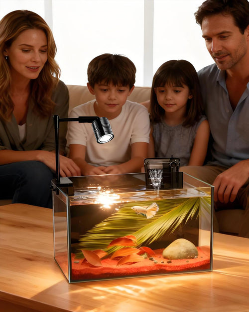 3 Gallon Ultra-Clear Glass Fish Tank with Filter and Led Light P44360