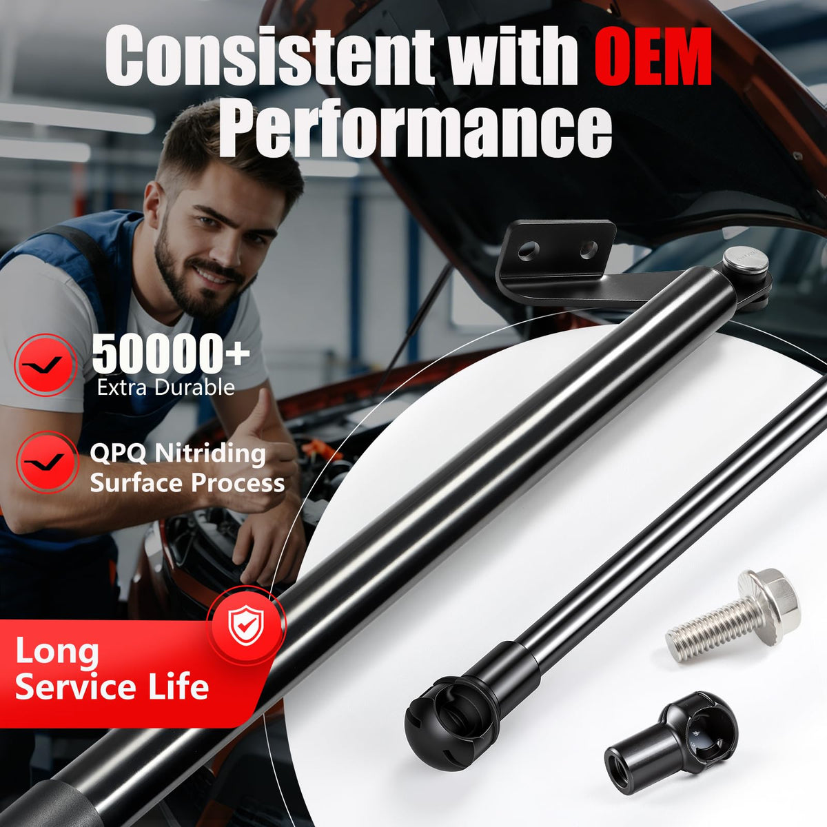 Rear Hatch Struts 2Pcs O81604