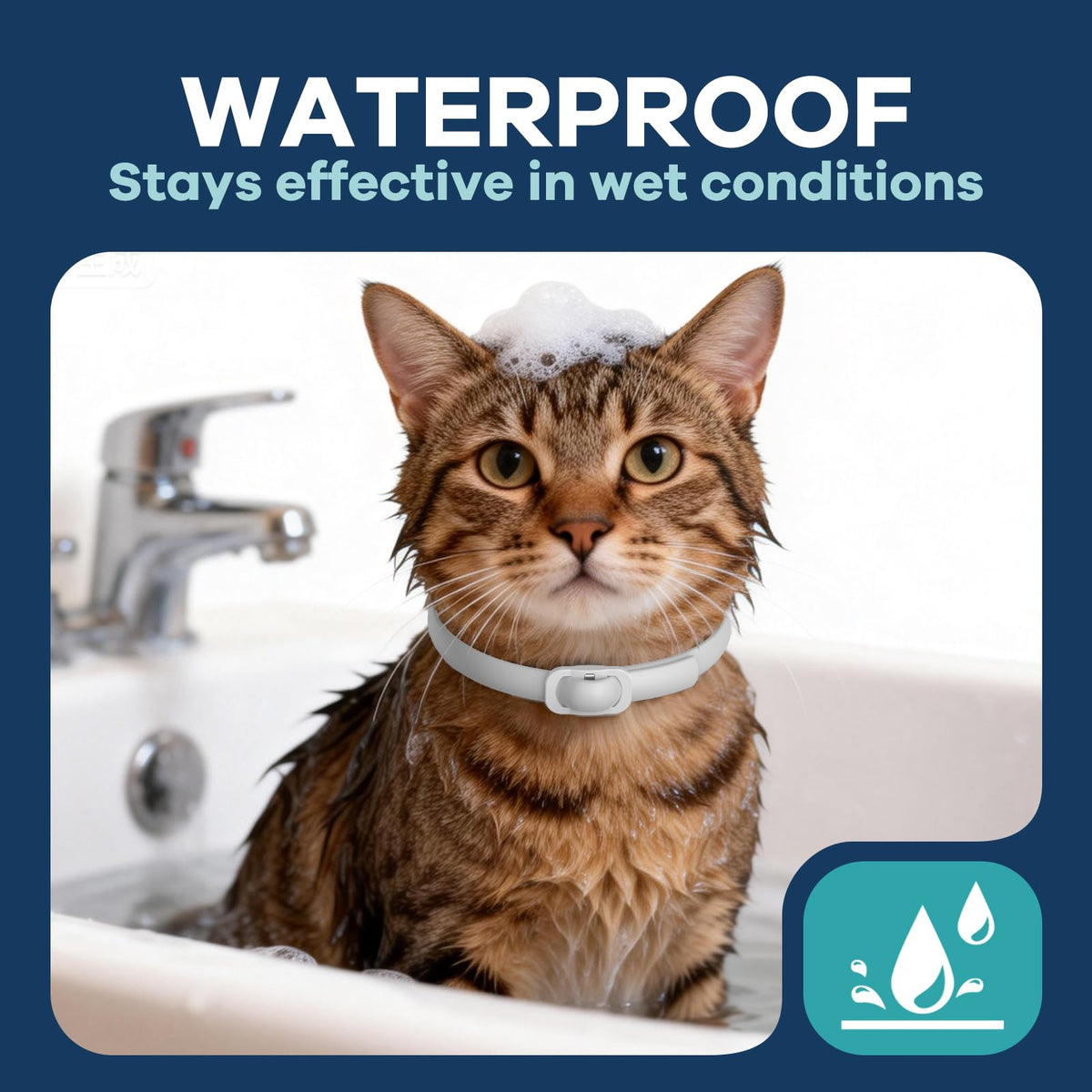 White 5 Pack Adjustable Water-Resistant Flea and Tick Cat Collar B26547
