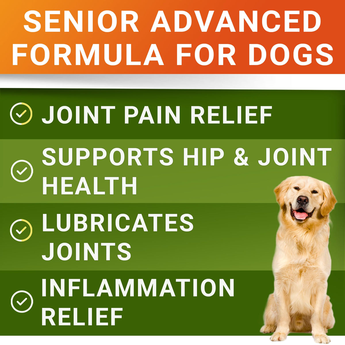 Glucosamine Chondroitin Joint Support H8488