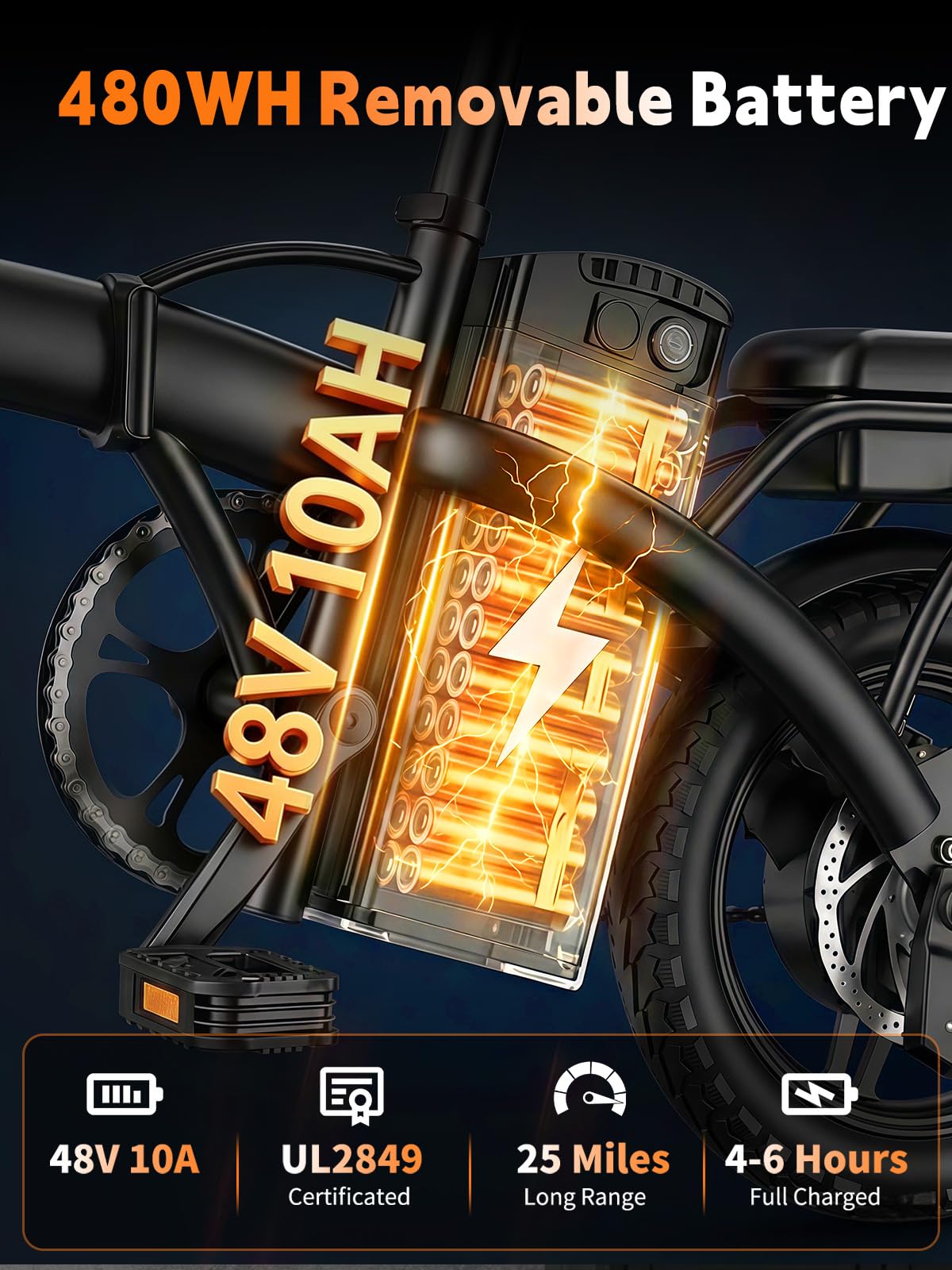 Folding Electric Bike T8010