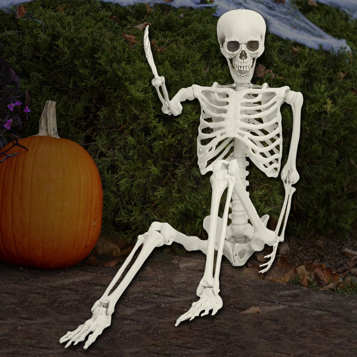 5.4FT Life Size Poseable Human Skeleton Prop Q56554