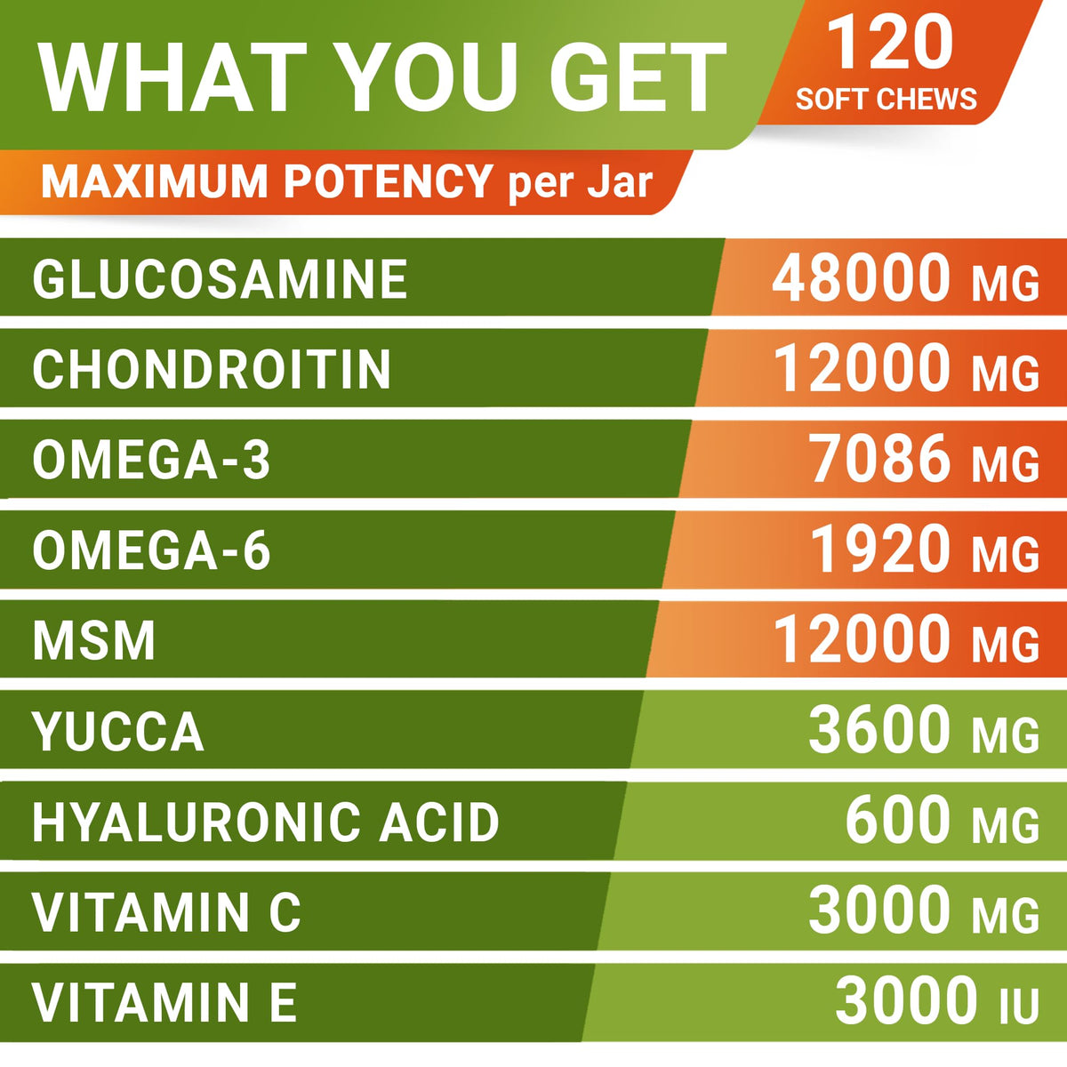Glucosamine Chondroitin Joint Support H8488