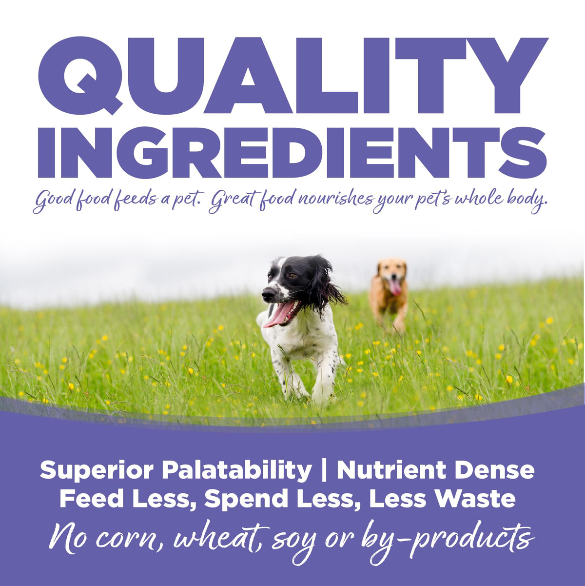 Small & Medium Breed Puppy Dry Dog Food, 4 lb Z507110