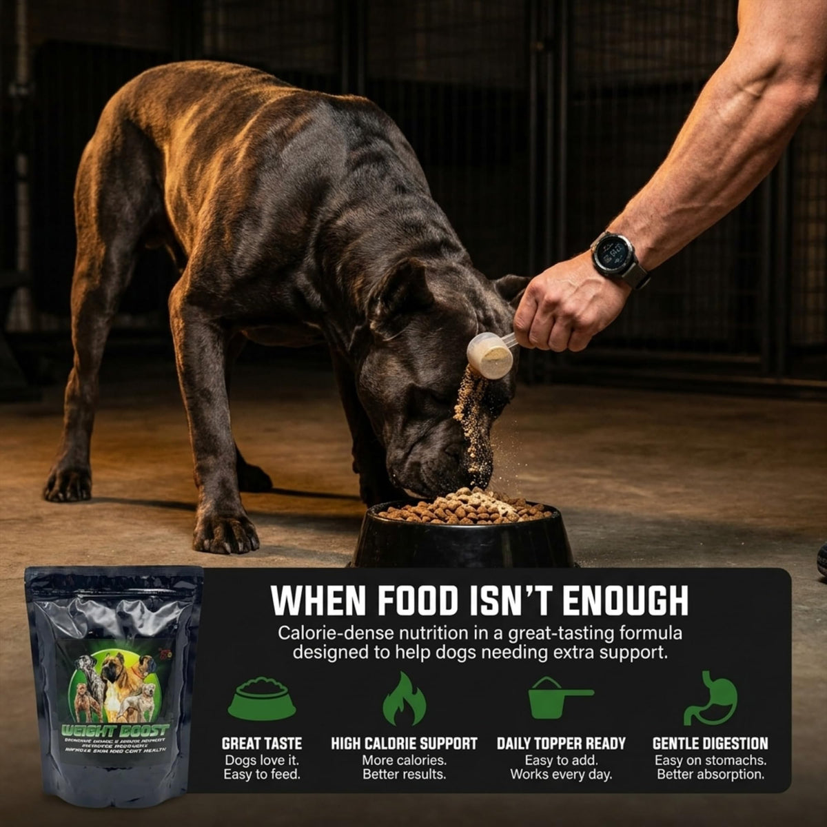 Dog Weight Protein Supplement 2 lb U48701
