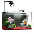 3 Gallon Ultra-Clear Glass Fish Tank with Filter and Led Light P44360
