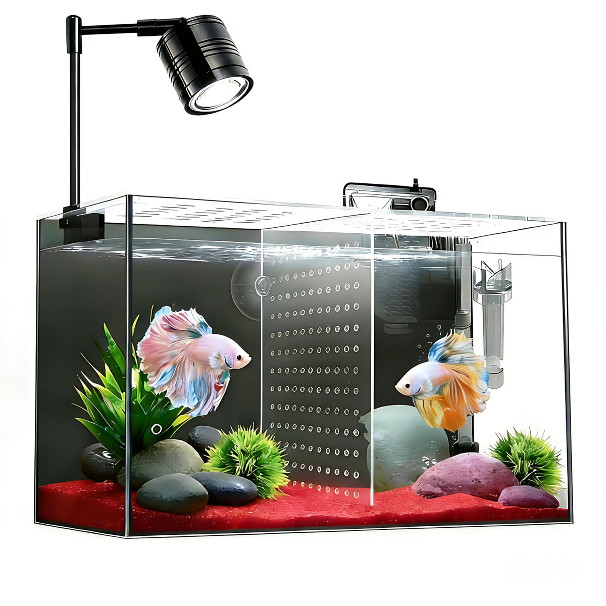 3 Gallon Ultra-Clear Glass Fish Tank with Filter and Led Light P44360