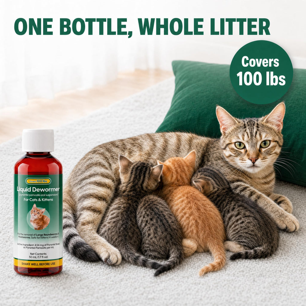 Pyrantel Pamoate Dewormer for Cats & Kittens 50ml N76975
