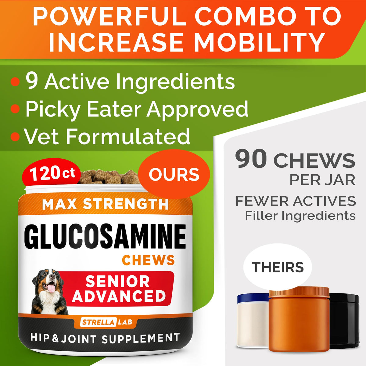 Glucosamine Chondroitin Joint Support H8488