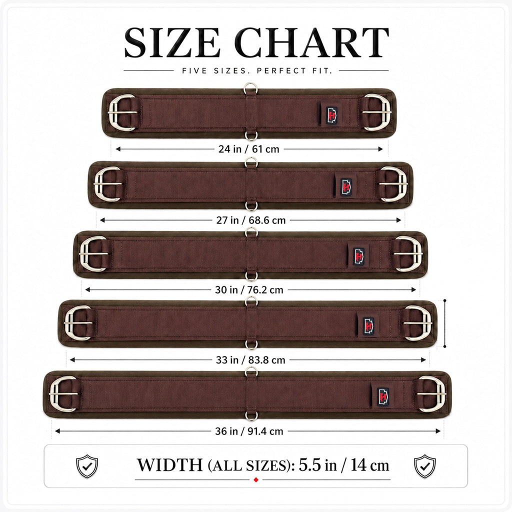 Western Horse Cinch with Stainless Steel Buckles J969