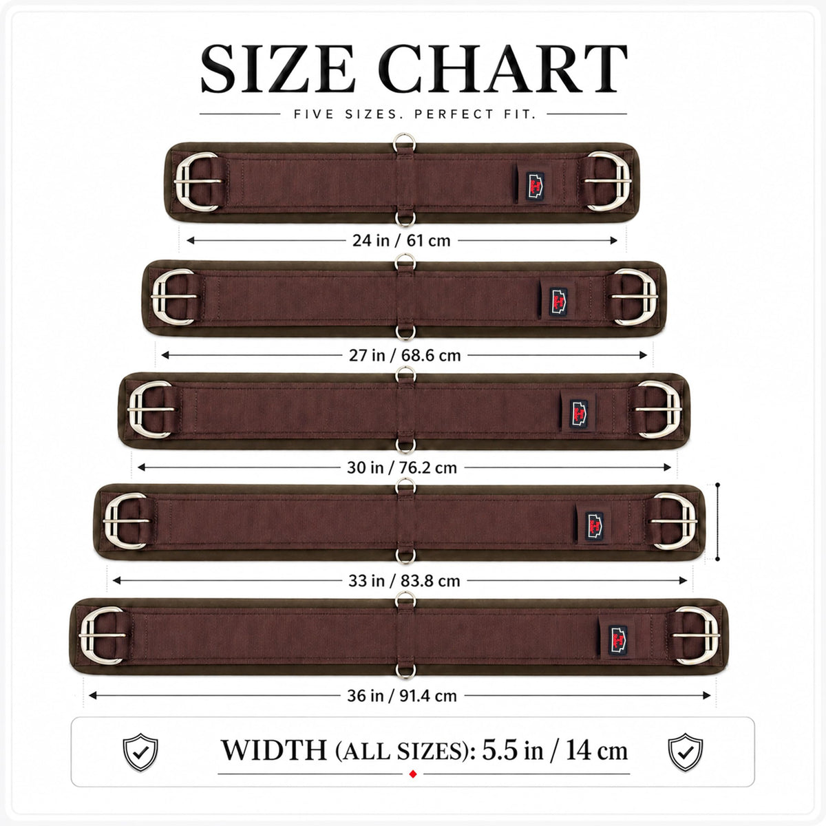 Western Horse Cinch with Stainless Steel Buckles J969