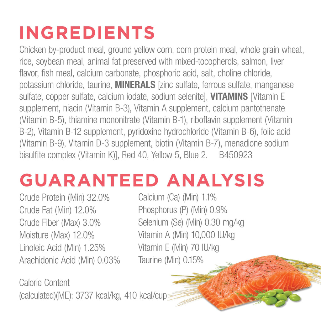 Salmon High Protein Dry Cat Food Y9962