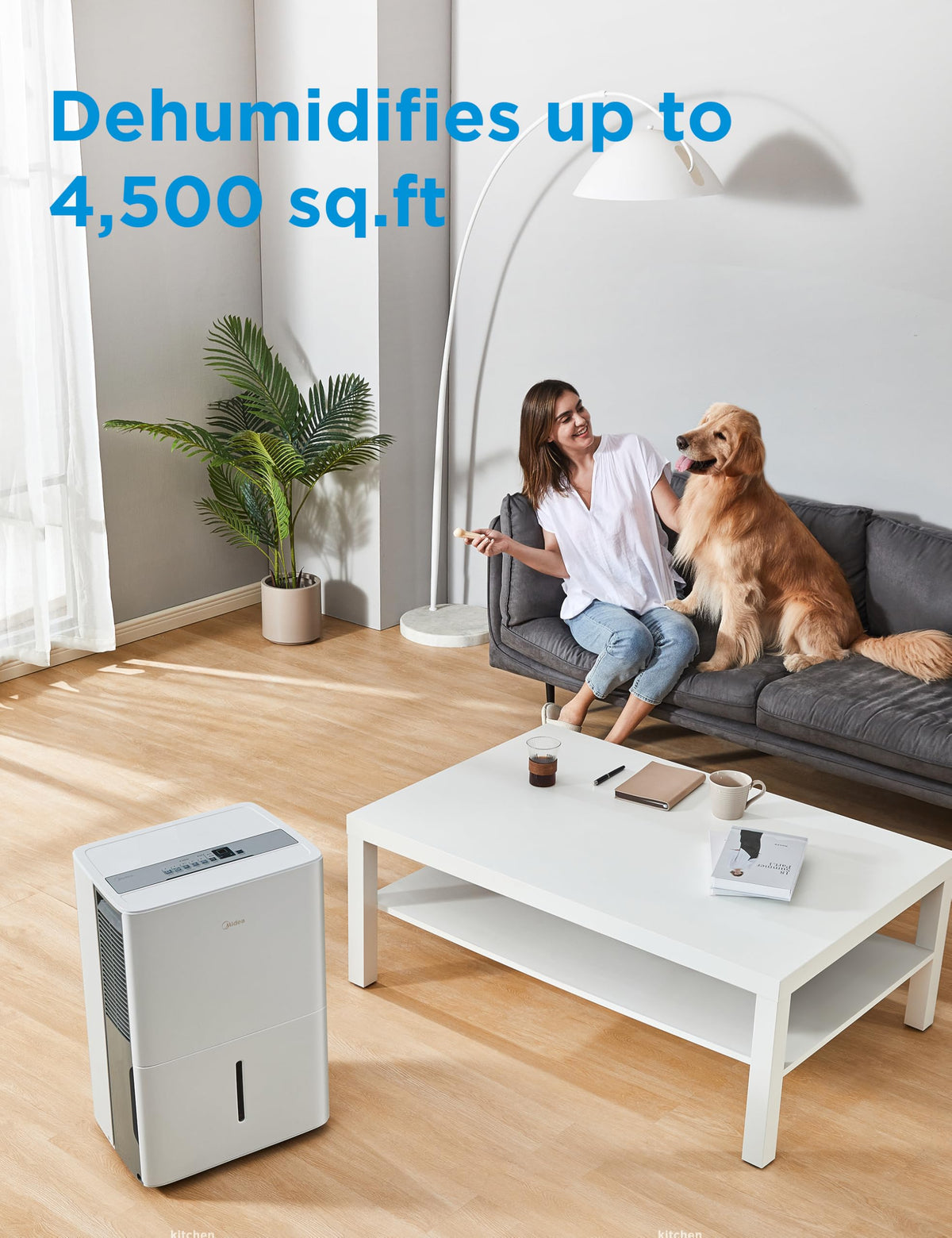 50 Pint Dehumidifier with Pump Y13386