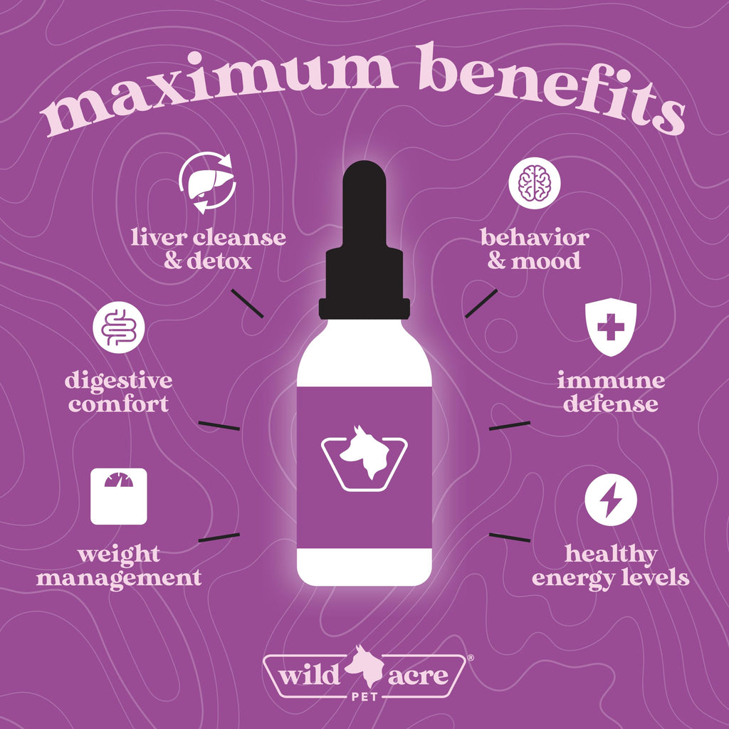 Milk Thistle for Dogs Liver Support 2 oz C972529