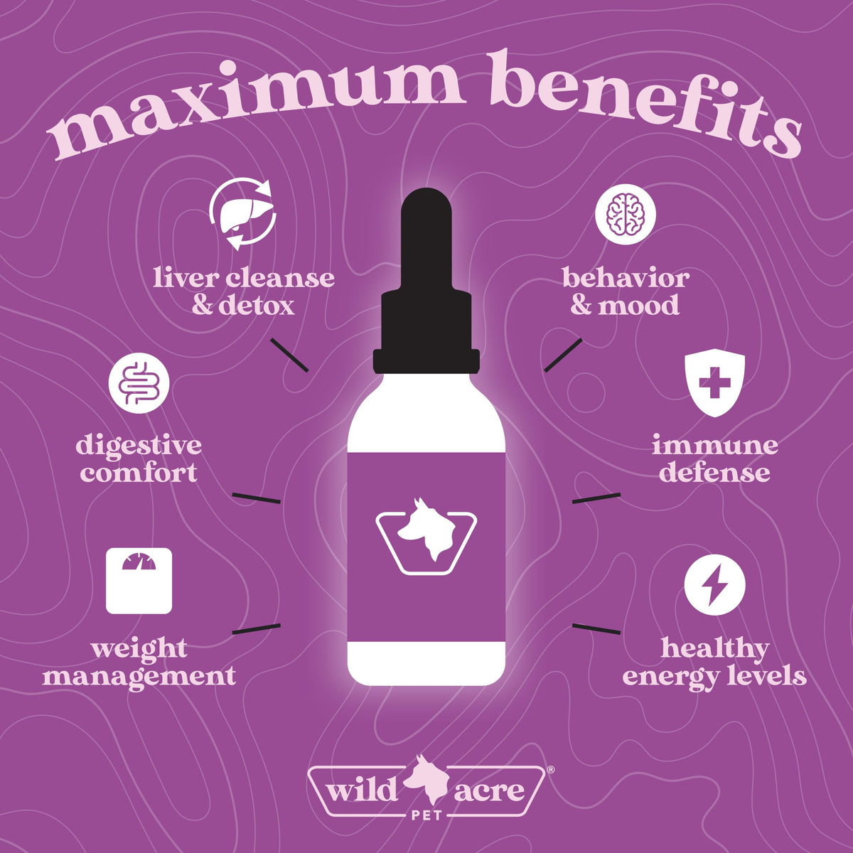 Milk Thistle for Dogs Liver Support 2 oz C972529