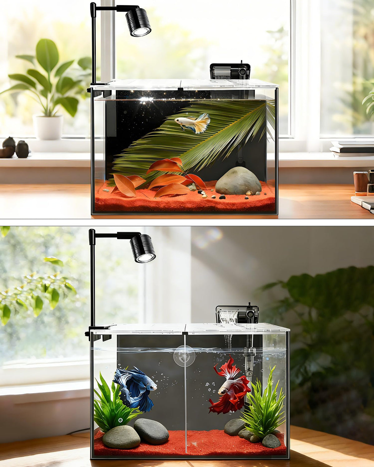 3 Gallon Ultra-Clear Glass Fish Tank with Filter and Led Light P44360