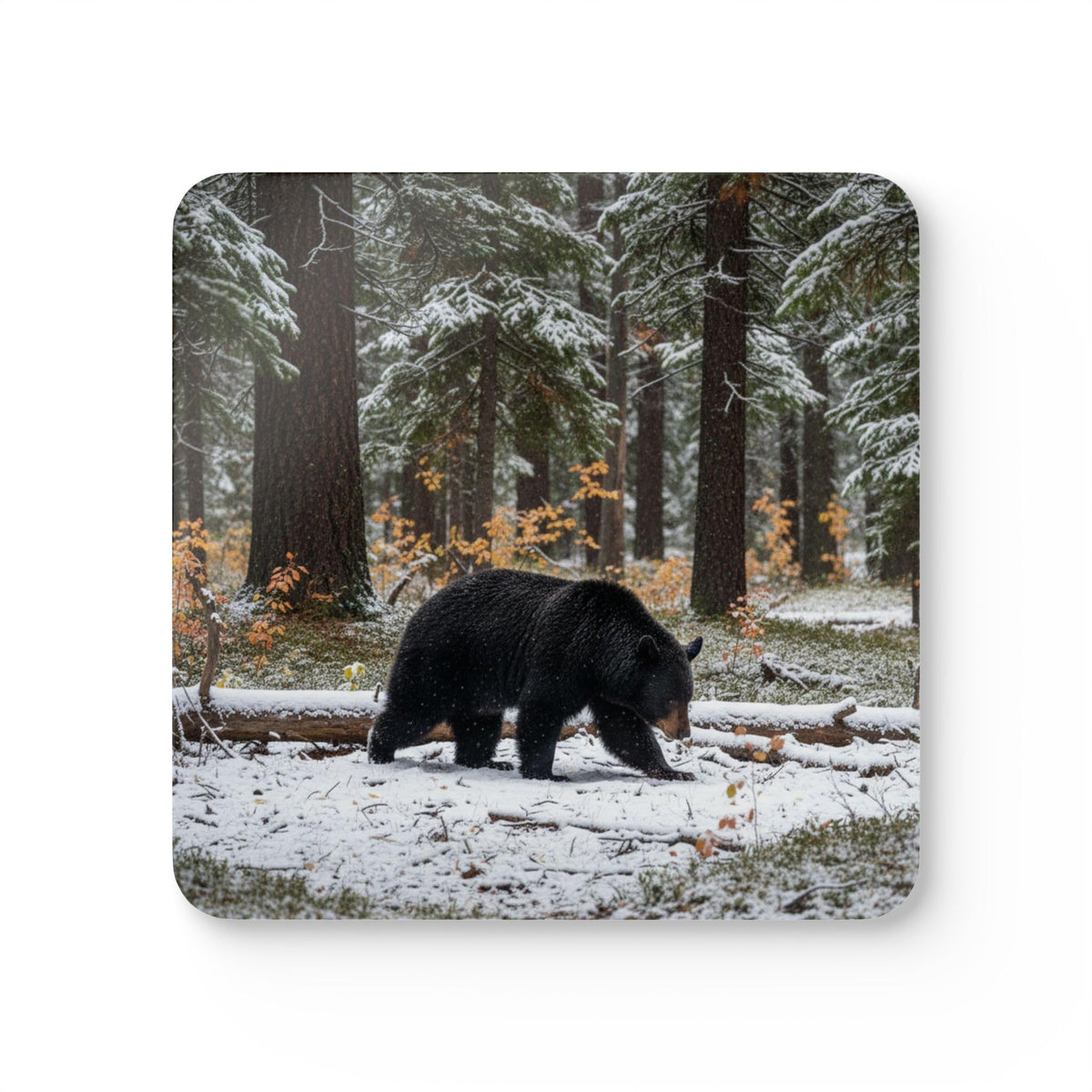 Set of 4 Coasters N501