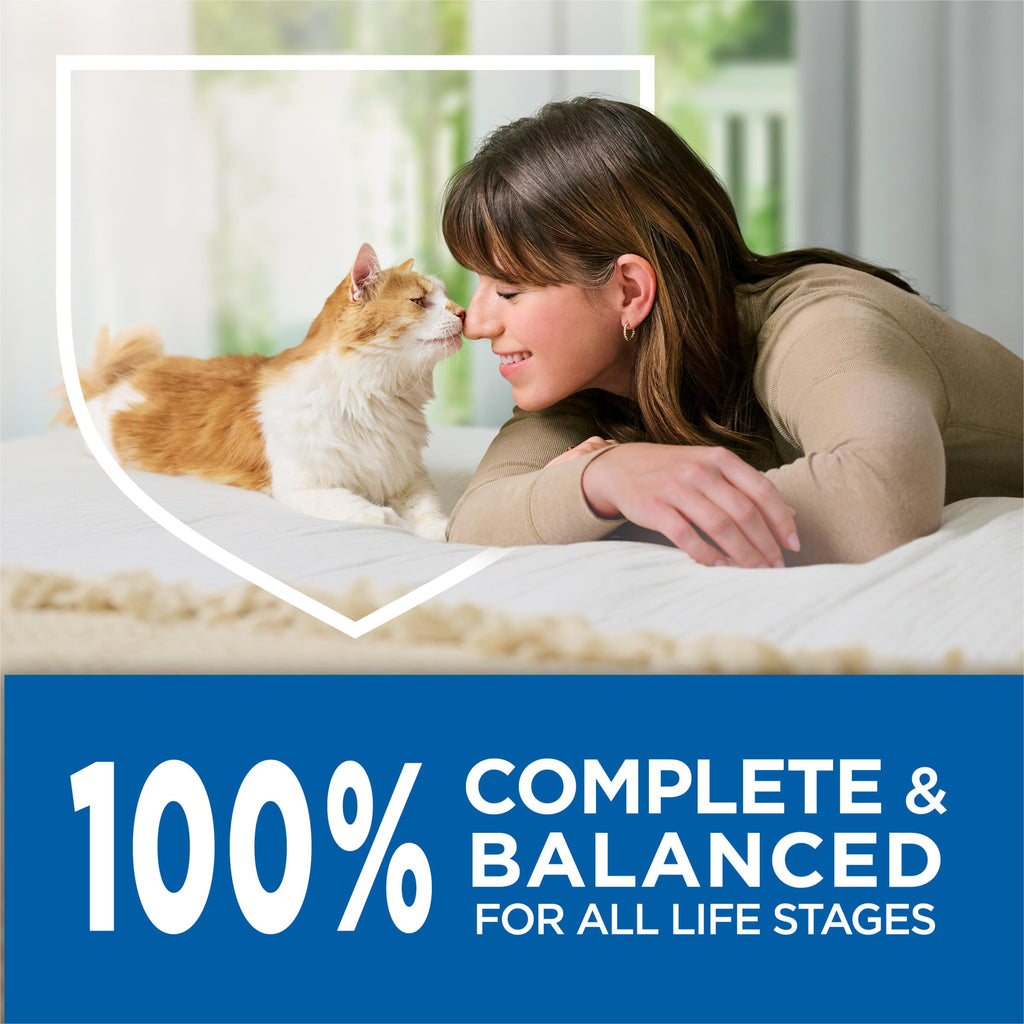 Salmon High Protein Dry Cat Food Y9962
