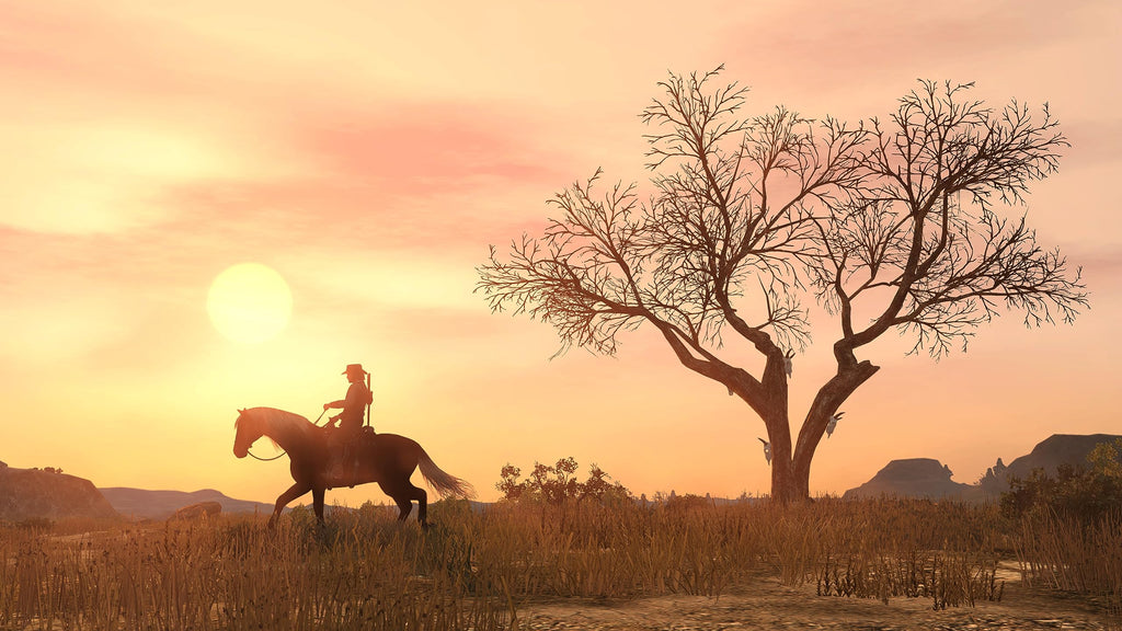 Red Dead Redemption PlayStation 4 E771947