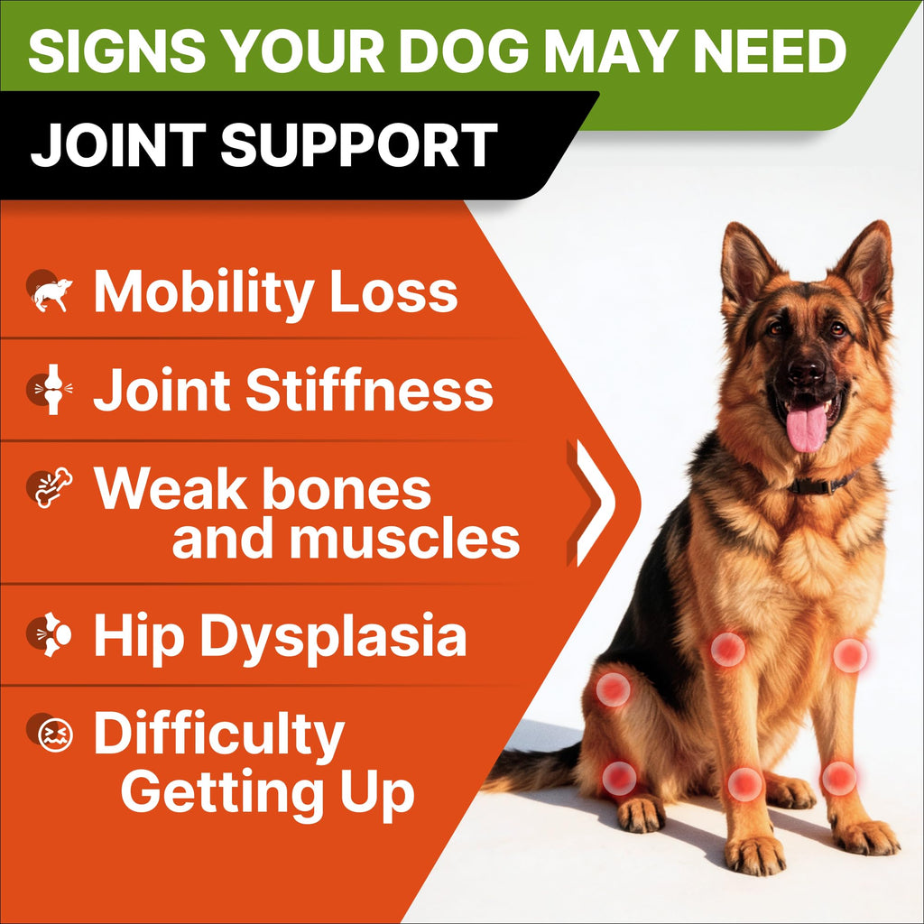 Glucosamine Chondroitin Joint Support H8488