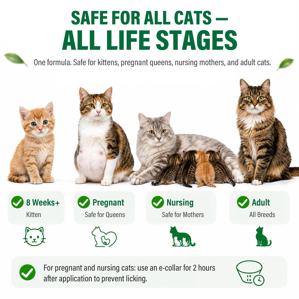 Cat Flea & Tick Topical Drops 12 Doses N297993
