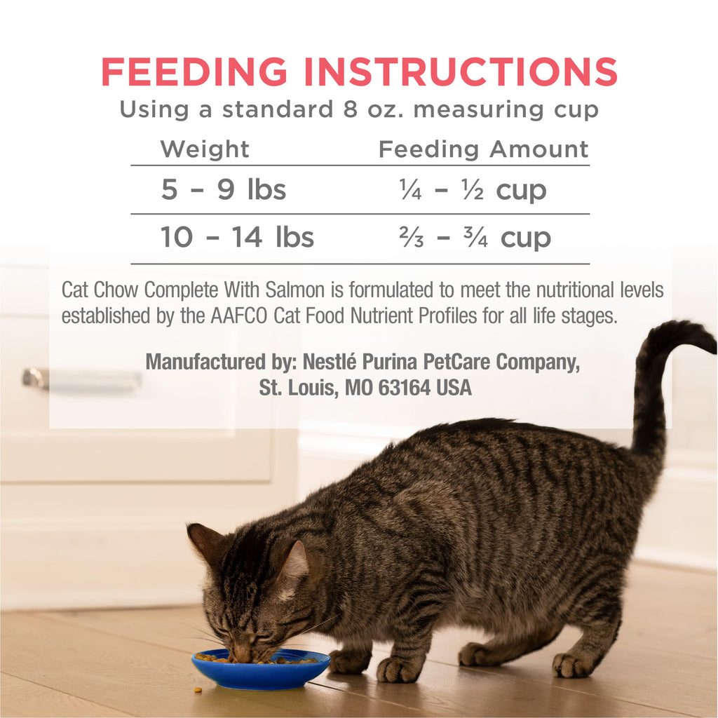 Salmon High Protein Dry Cat Food Y9962