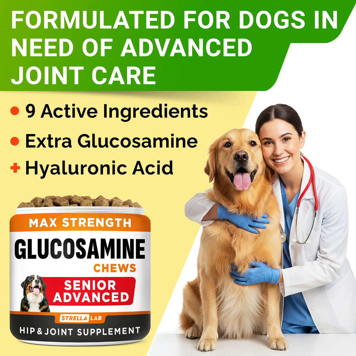 Glucosamine Chondroitin Joint Support H8488