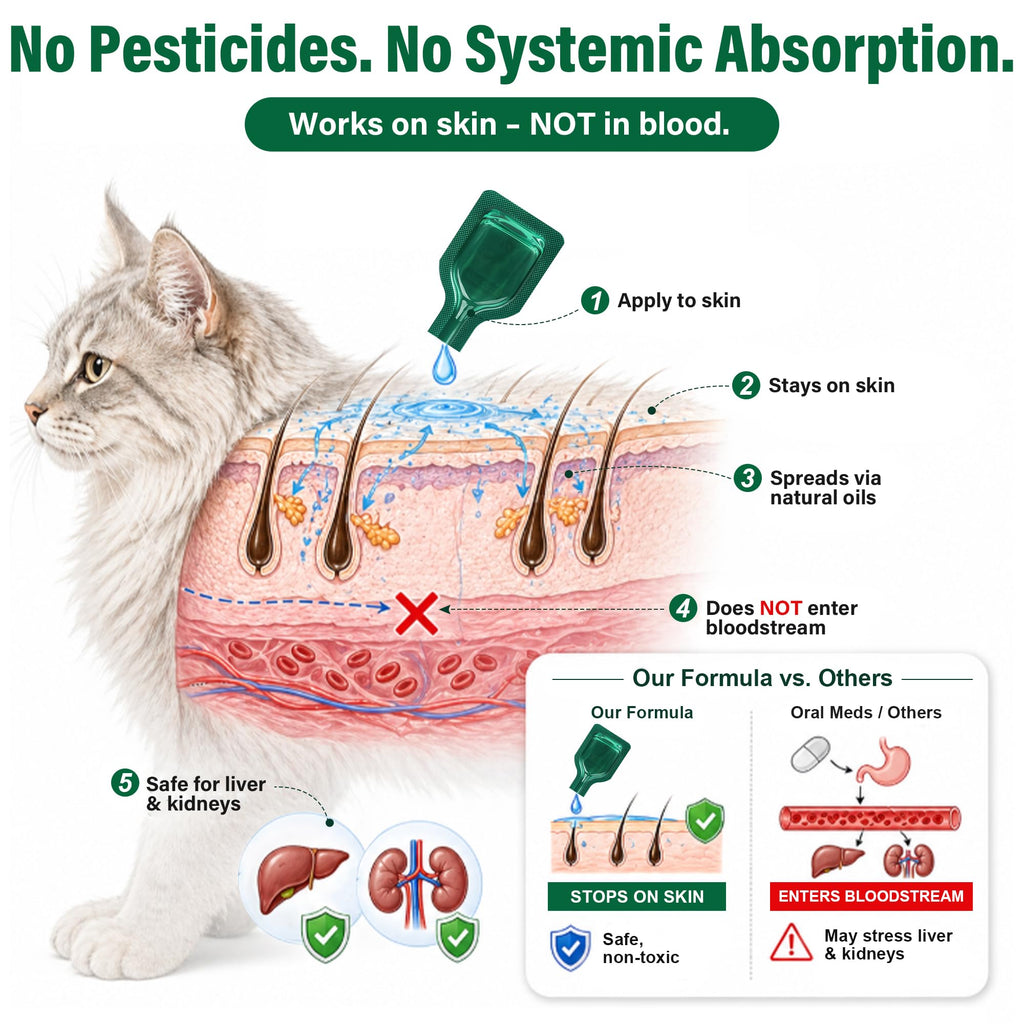 Cat Flea & Tick Topical Drops 12 Doses N297993