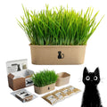 4-Batch Indoor Cat Grass Grow Kit with Containers, Soil Disks & Seeds L19864