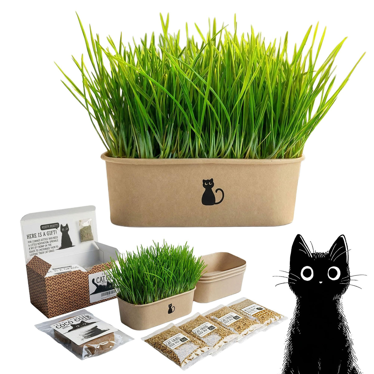 4-Batch Indoor Cat Grass Grow Kit with Containers, Soil Disks & Seeds L19864