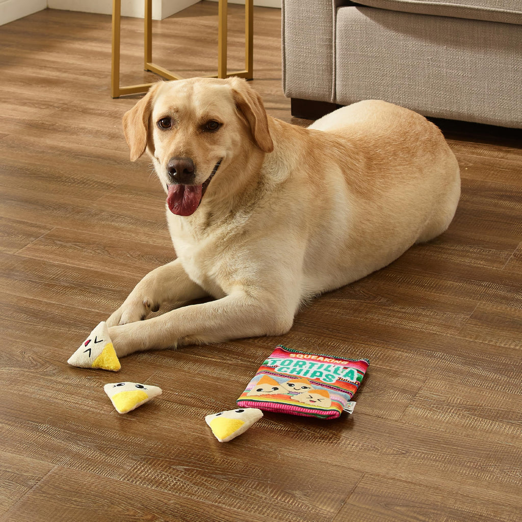 Tortilla Chips Puzzle Squeaky Dog Toys N571028