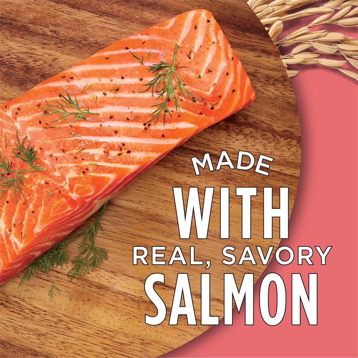 Salmon High Protein Dry Cat Food Y9962