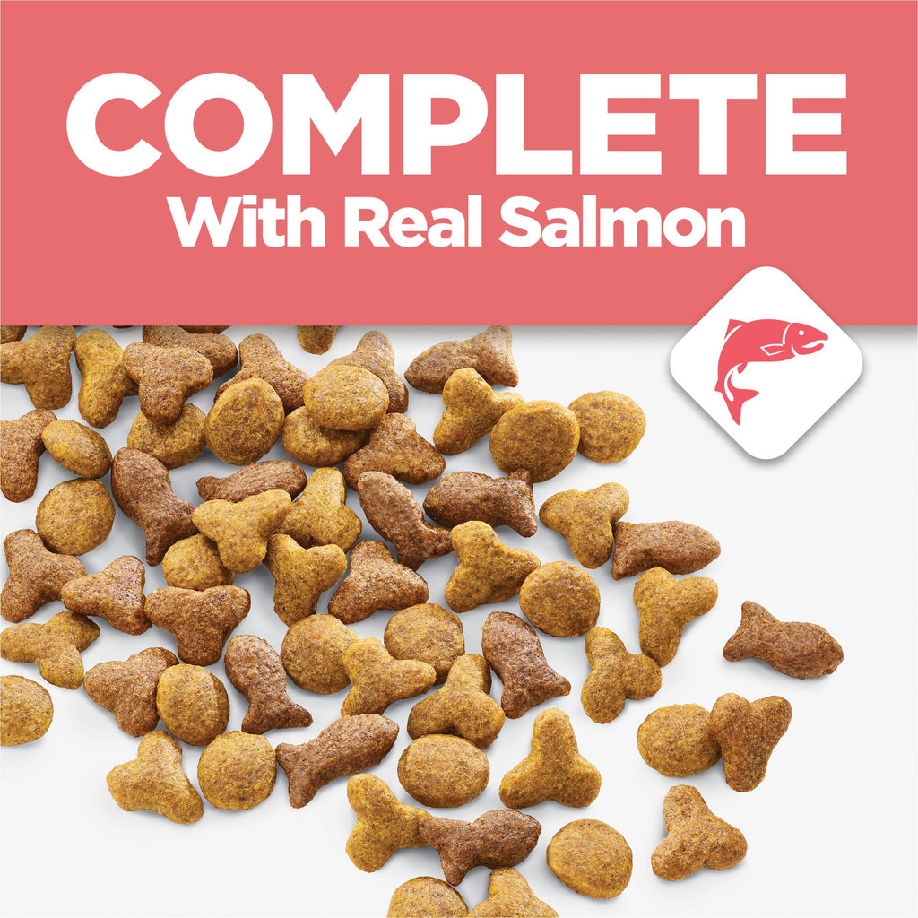 Salmon High Protein Dry Cat Food Y9962