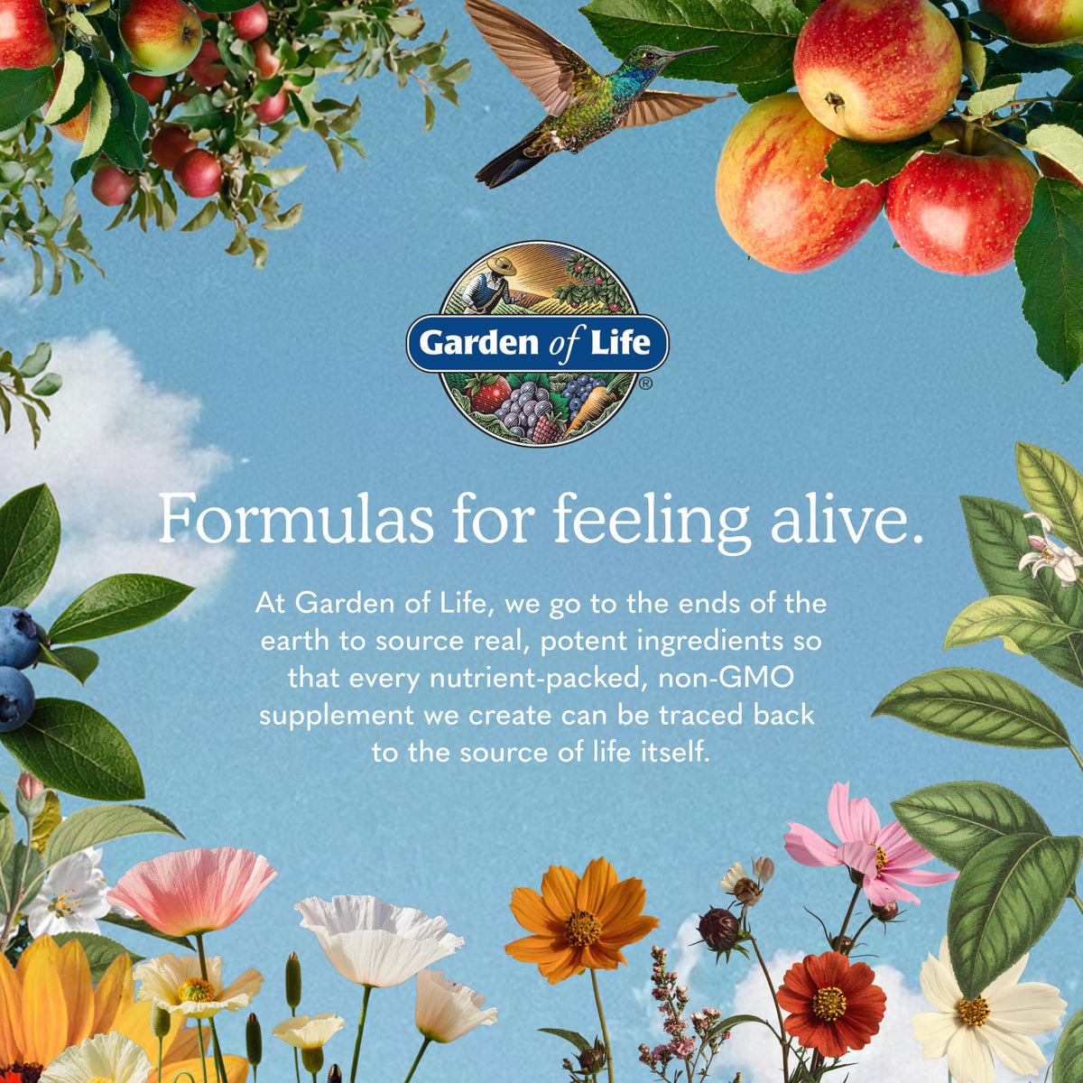 Omega 3 Fish Oil, 60 Softgels P531624